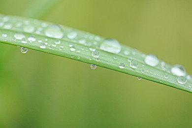 《QUESTER | OSAKA》登陆Steam 战斗系日式RPG